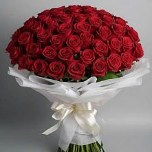 Букет 101 Красная роза Блэк Мэджик в Тээли
