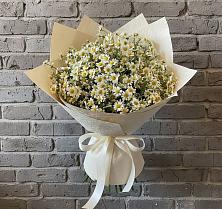 Букет цветов из:  Ромашки в Тээли