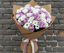 Букет цветов из:  Хризантемы в Тээли