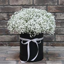 Цветочная композиция из Гипсофила в шляпной коробке в Тээли