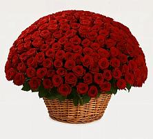 Премиум букет из: Розы в Тээли