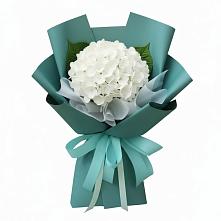 Букет цветов из:  Гортензия в Тээли